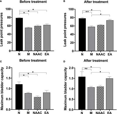 Effect of electroacupuncture on the intestinal microflora in rats with stress urinary incontinence
